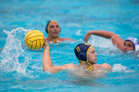Mens College Water Polo Triton Invitational: California Golden Bears vs UC Santa Barbara Gauchos