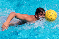 Cal Boys Water Polo Camp