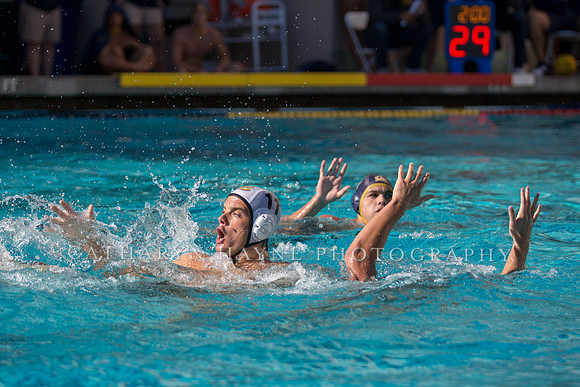 20141102CalvLBSUlr-48