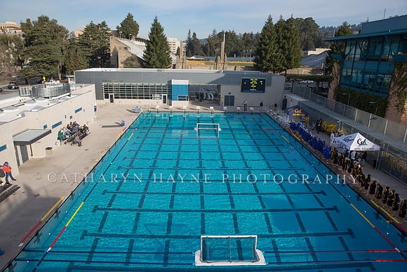Cal vs SJSU at California Speedo Cup
