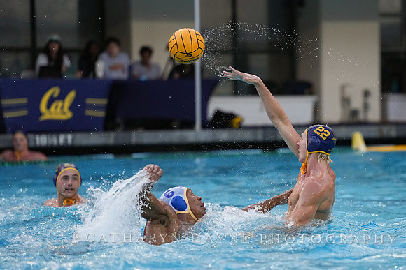 Seth Bousfield, Thomas Vernoux