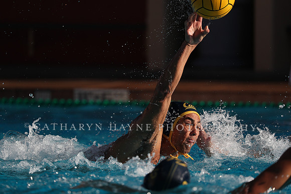 Collegiate Mens Water Polo: MPSF Invitational: California Golden Bears vs UC Santa Barbara Gauchos