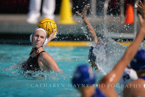 WWP: Brown University Bears vs SJSU Spartans
