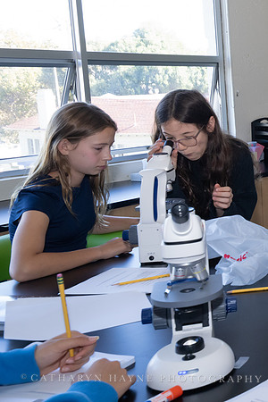 Live Oak School