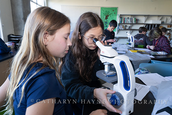 Live Oak School