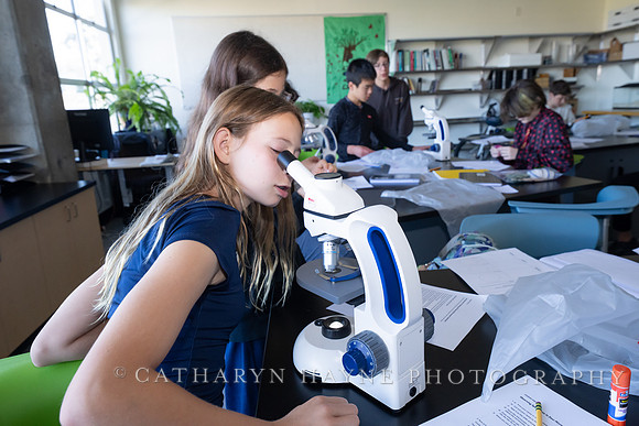 Live Oak School