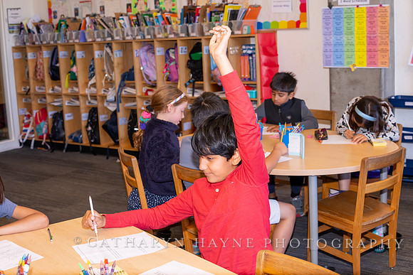 Live Oak School