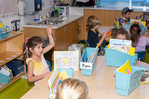 Live Oak School
