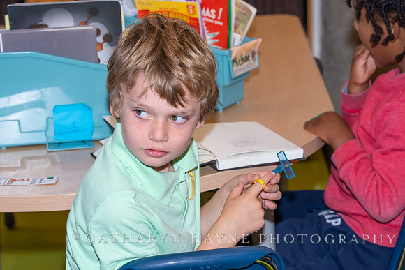 Live Oak School