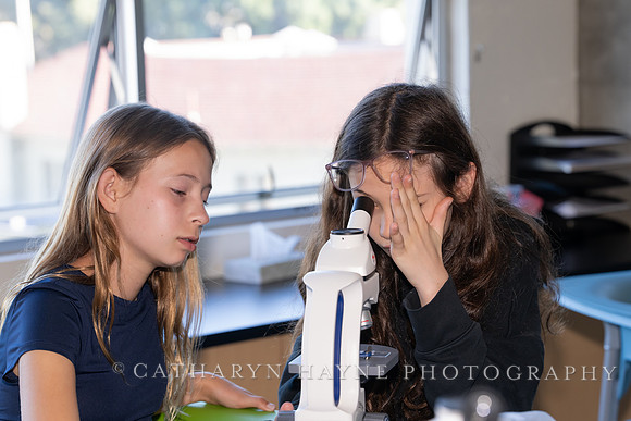 Live Oak School