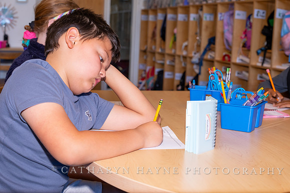 Live Oak School