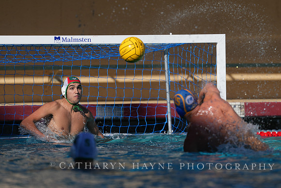 MWP: Salem University Tigers vs UCLA Bruins