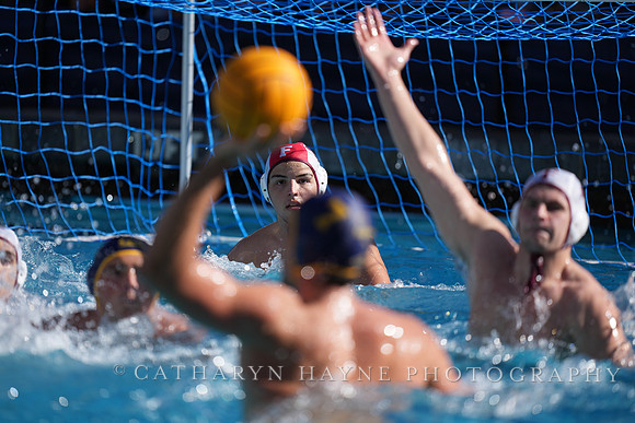 MWP: California Golden Bears vs Fordham Rams