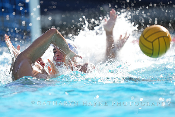MWP: California Golden Bears vs Fordham Rams