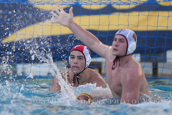 MWP: California Golden Bears vs Fordham Rams