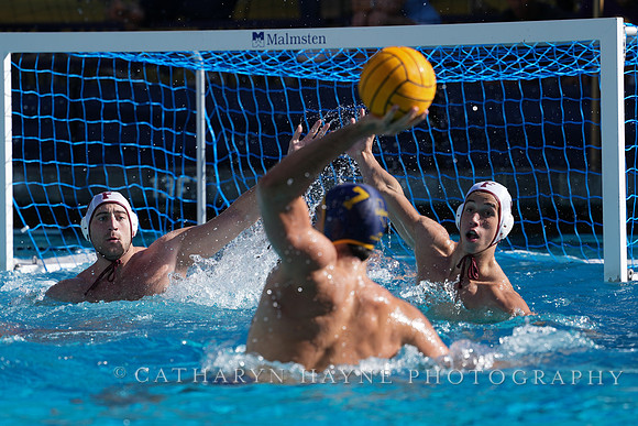 MWP: California Golden Bears vs Fordham Rams
