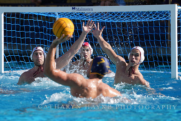 MWP: California Golden Bears vs Fordham Rams