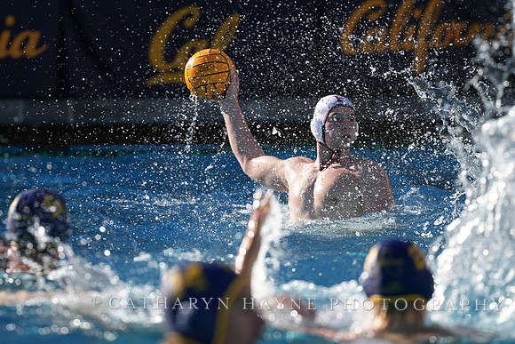 MWP: California Golden Bears vs Fordham Rams