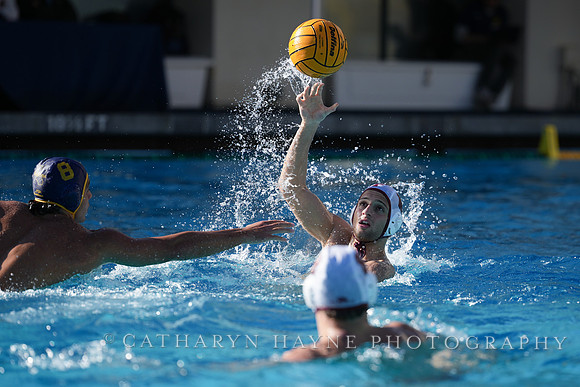 MWP: California Golden Bears vs Fordham Rams