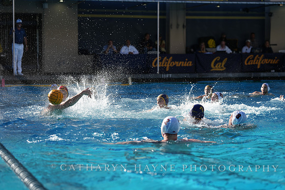 MWP: California Golden Bears vs Fordham Rams