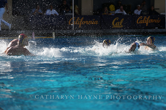 MWP: California Golden Bears vs Fordham Rams