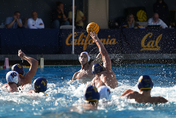 MWP: California Golden Bears vs Fordham Rams