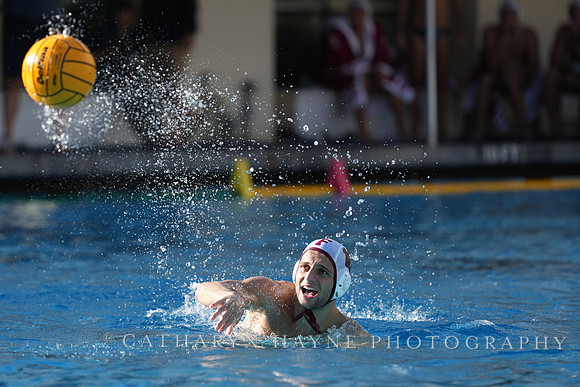 MWP: California Golden Bears vs Fordham Rams