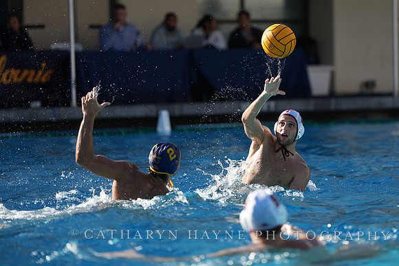 MWP: California Golden Bears vs Fordham Rams