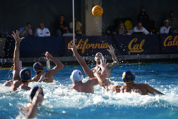 MWP: California Golden Bears vs Fordham Rams