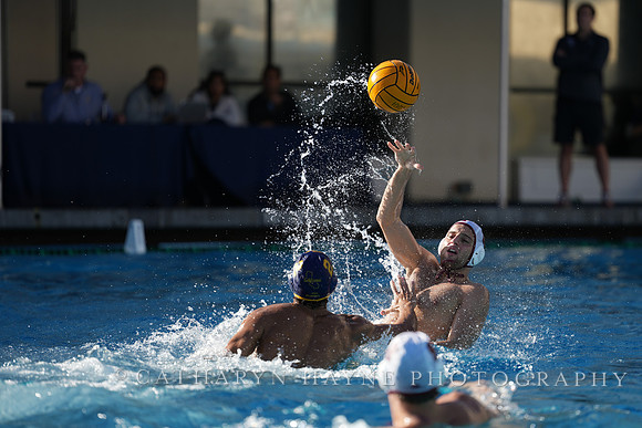 MWP: California Golden Bears vs Fordham Rams