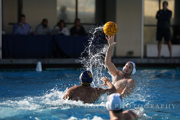MWP: California Golden Bears vs Fordham Rams