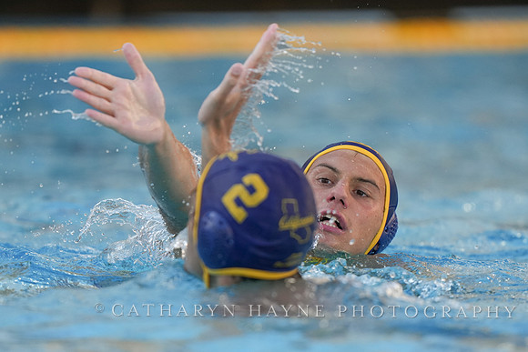 MWP: California Golden Bears vs Fordham Rams