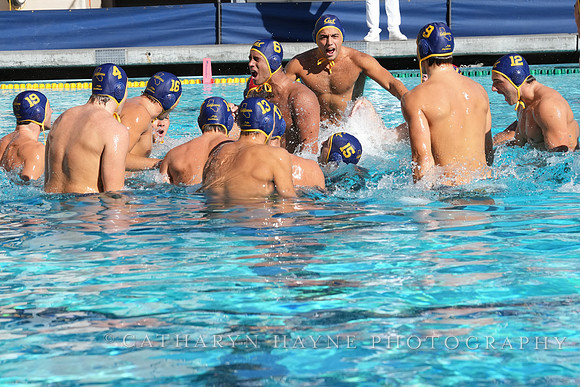 Team