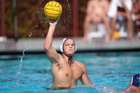 Brody Paine