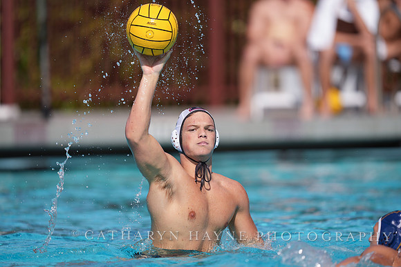Brody Paine