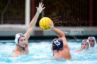 MWP: Brown University Bears vs Santa Clara University Broncos