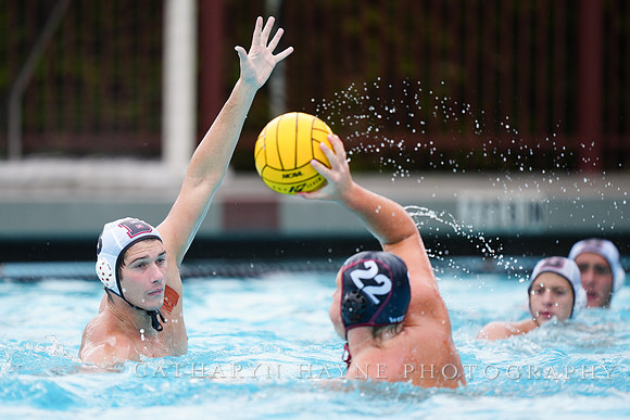 MWP: Brown University Bears vs Santa Clara University Broncos