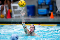 MWP: Brown University Bears vs Santa Clara University Broncos