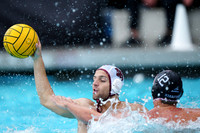 MWP: Fordham University Rams vs Stanford Cardinal