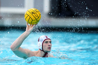 MWP: Fordham University Rams vs Stanford Cardinal
