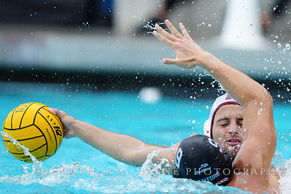 MWP: Fordham University Rams vs Stanford Cardinal