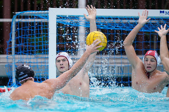 MWP: Fordham University Rams vs Stanford Cardinal