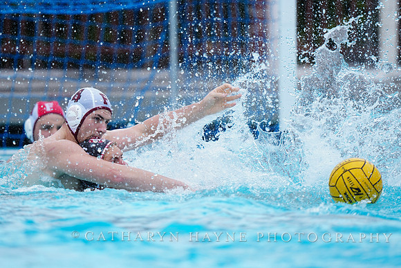 MWP: Fordham University Rams vs Stanford Cardinal