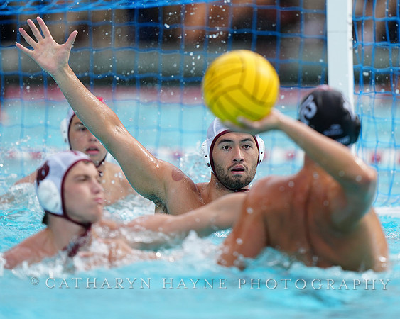 MWP: Fordham University Rams vs Stanford Cardinal