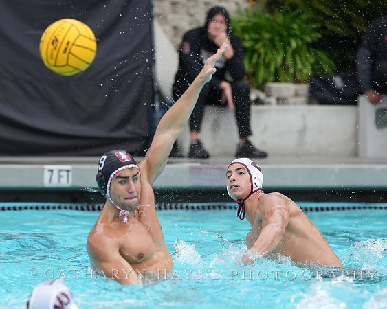MWP: Fordham University Rams vs Stanford Cardinal