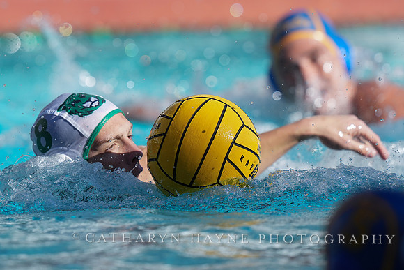 MWP: Salem University Tigers vs UCLA Bruins