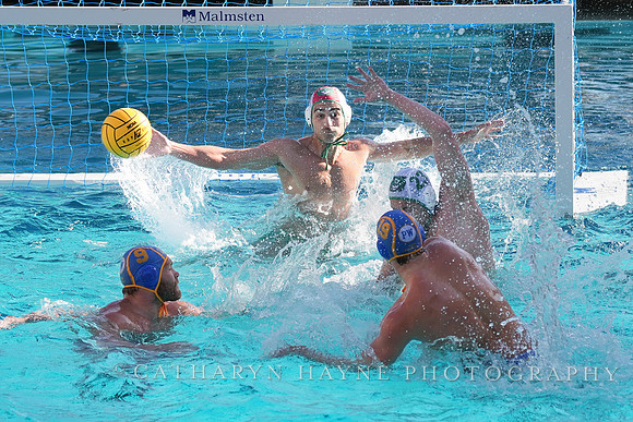 MWP: Salem University Tigers vs UCLA Bruins
