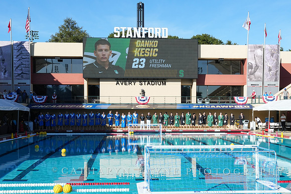 MWP: Salem University Tigers vs UCLA Bruins