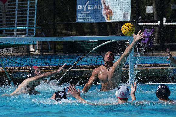 USAWP National League:Channel Cats vs New York Athletic Club