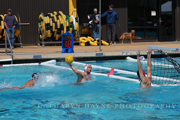 USAWP National League:Channel Cats vs New York Athletic Club